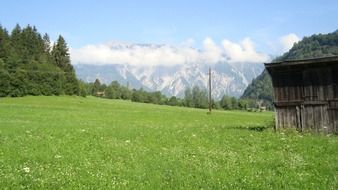 Wooden barn on a green meadow