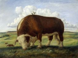 oil painting cattle walking