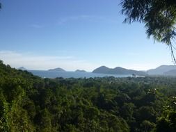 panoramic view of a picturesque landscape with green trees