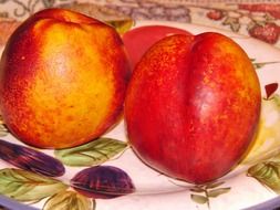 Fruits on a plate close-up