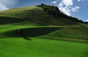 meadows with green grass on the mountain