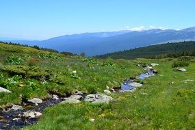 small stream in a green valley