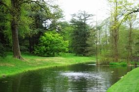 pond in a spring park