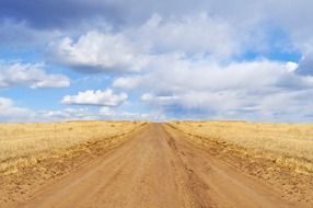 golden field with a road