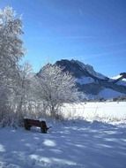 winter landscape on the background of mountains