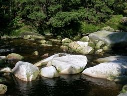 kvilda river stones idyll scenery