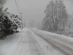 absolutely gorgeous snow road