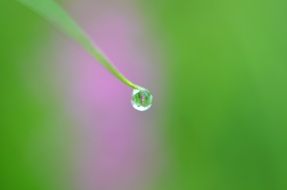 small water drop