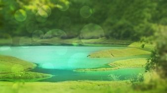 lake water tree