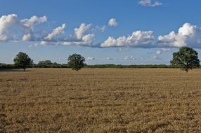 Landscape of empty field