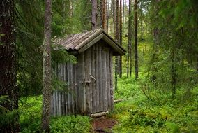 finland forest wooden wc