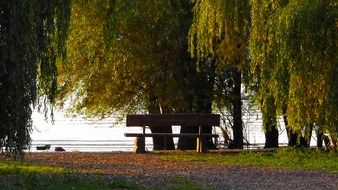 bench near the river in a quiet park