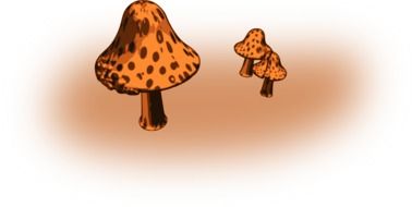 drawings of mushrooms of different sizes