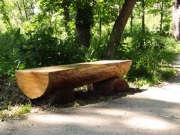 wood bench in park relax scene