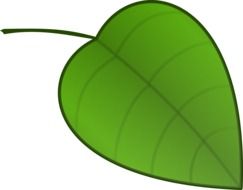 clipart of green natural leaf