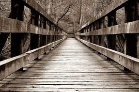 bridge wood forest wooden walk