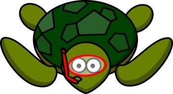 turtle animal drawing