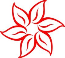 Red flower