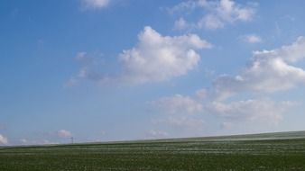 amazing beauty field