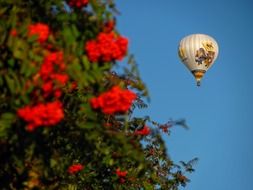 balloon in the sky and red flowers