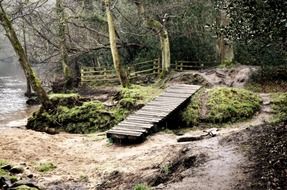 small wooden walkway on the bumps