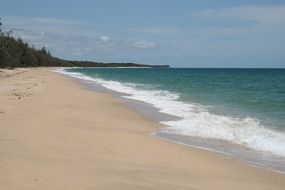 white sand beach by the sea