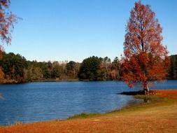 sunny autumn on the lake