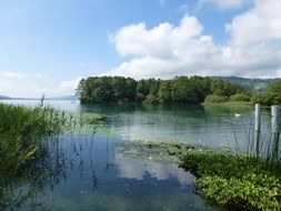 landscape of pure lake in Switzerland