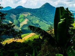 Panorama of the mountain landscape of northern thailand