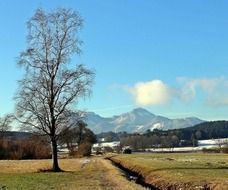 Beautiful and colorful, spring landscape with birch and distant mountains in Chiemgau, Germany