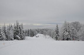 Landscape of the snowy mountains in Poland