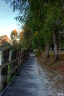 autumn alley in Langley