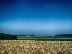 splendiferous belgium landscape