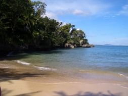 Tropical forest near the ocean