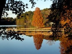 Lake landscape among the trees