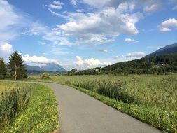 landscape of green meadows along the road