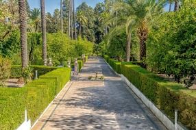 alley in a garden in spain