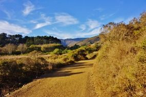 landscape of wildlife in California