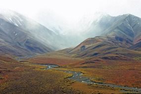 mountain stream in alaska