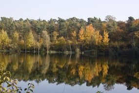 very beautiful pond mirroring