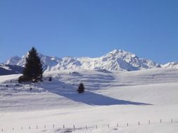 high tauern are mountains in austria