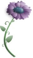 painted purple flower on white background
