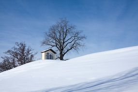chapel beneath bare tree on snowy hill side, germany, upper bavaria