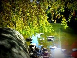 Beautiful pond with sunshine under the colorful trees