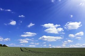 landscape of the sunny summer day