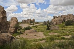 landscape in new mexico