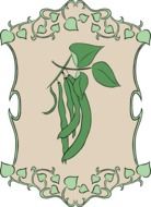 bean garden plant drawing