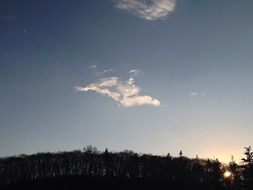 evening sky over wild forest