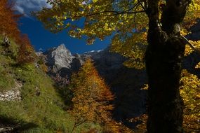 mountain tree autumn landscape