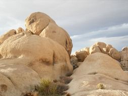 boulders in the joshua tree national park